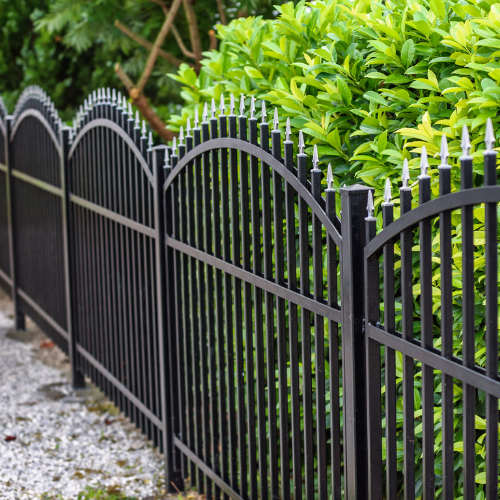 Picture of black aluminum picket fence in front of green foilage 